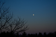 26th Nov 2012 - Twilight Moon