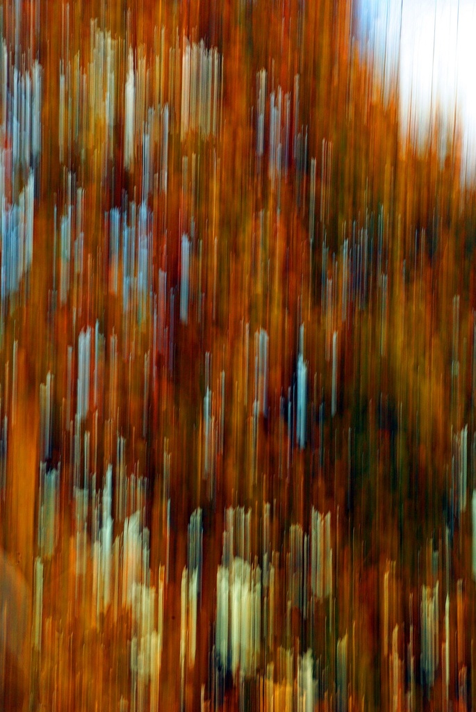 (Day 282) - Autumn Blur by cjphoto
