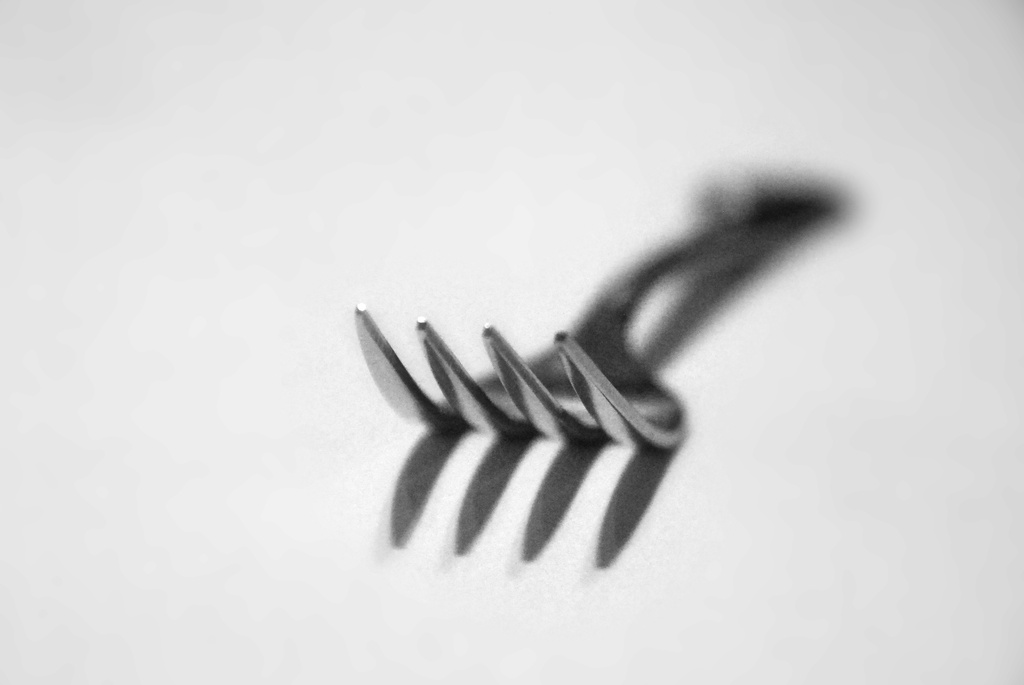 Fork by dakotakid35
