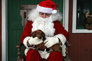 24th Nov 2012 - Sadie and Santa