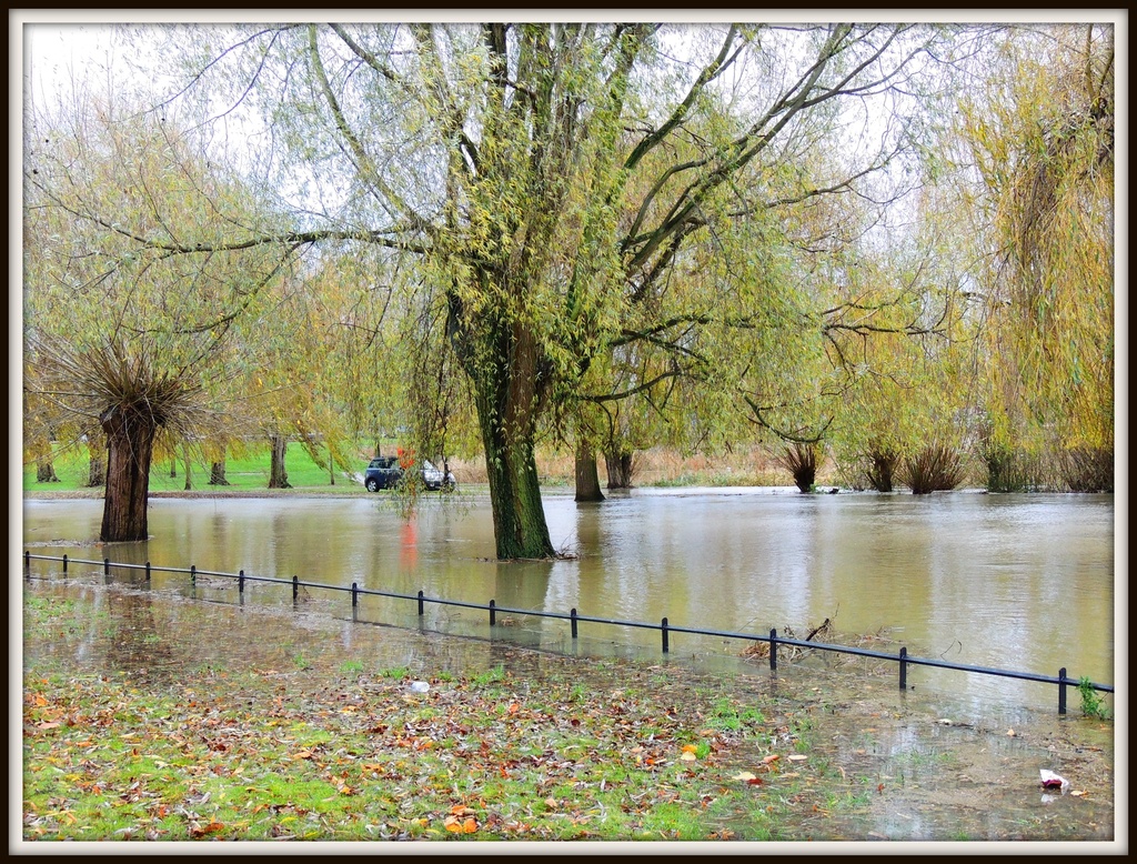 Another pic of the flood by rosiekind