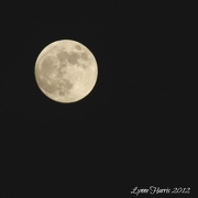 28th Nov 2012 - Full Moon