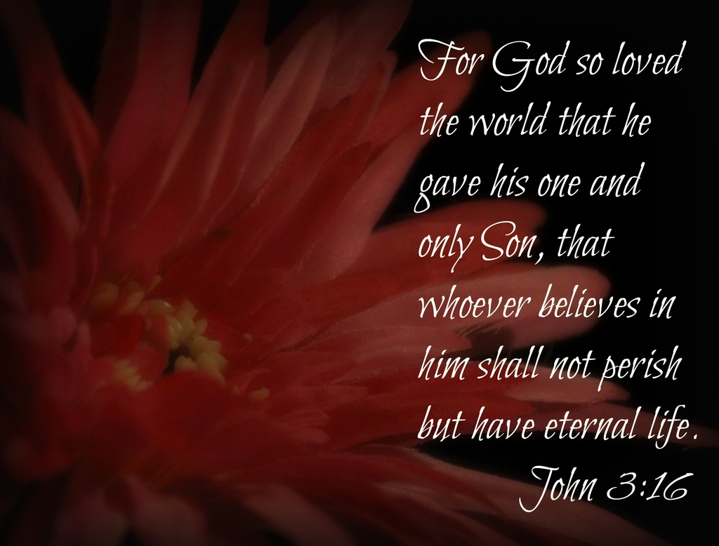 John 3:16 by tara11