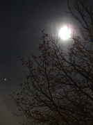 27th Nov 2012 - Moonrise