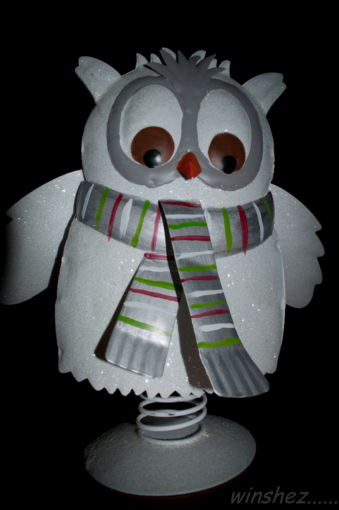 owl by winshez