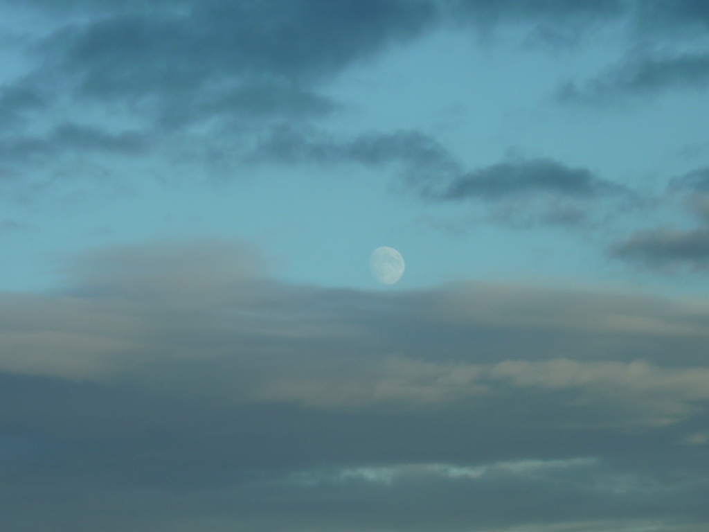 Moon by lellie