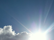 28th Nov 2012 - The sun came out