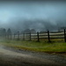 Split Rail Fence in the Mist by calm