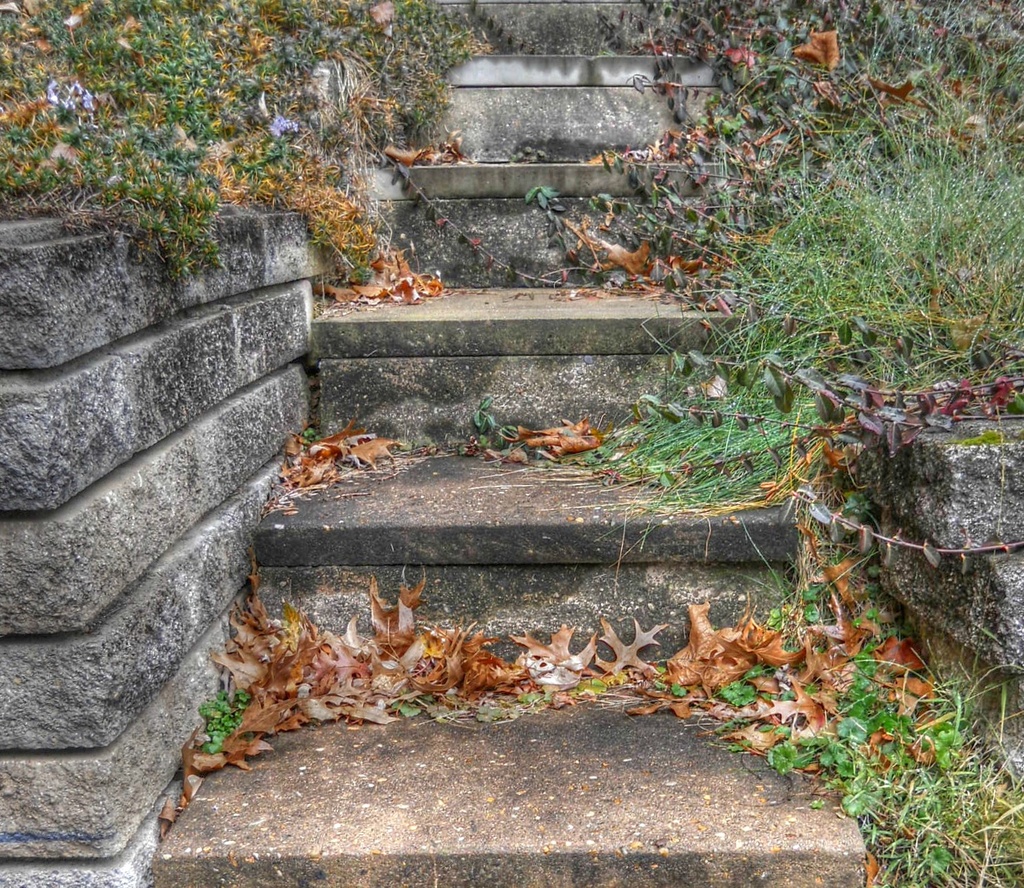 Steps by mittens