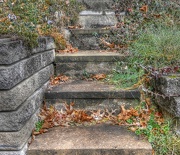 28th Nov 2012 - Steps