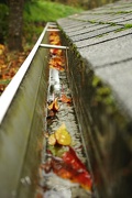 28th Nov 2012 - Time to Clean the Gutters