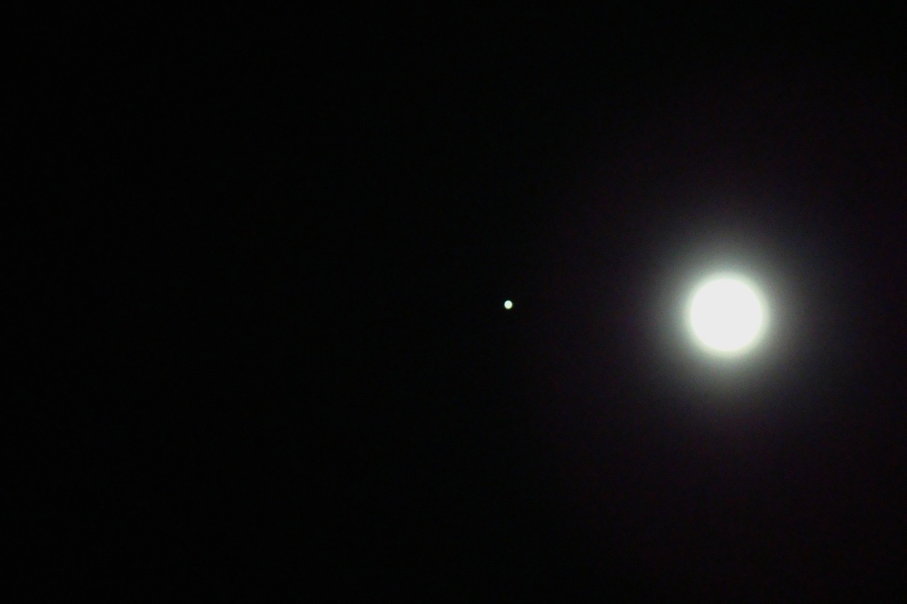Nov 28: Moons by bulldog
