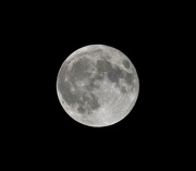 28th Nov 2012 - Today's word is....moon.
