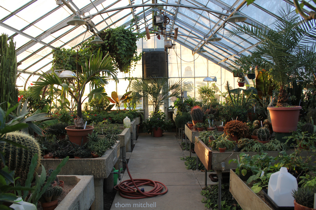 Inside the greenhouse by rhoing