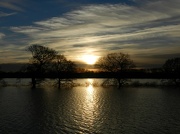 29th Nov 2012 - Floods Create Beauty Too
