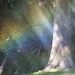 Sprinkler rainbow play ~ sooc by sugarmuser