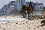 29th Nov 2012 - Ft. Lauderdale beach
