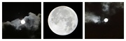 29th Nov 2012 - Various Moon Shots