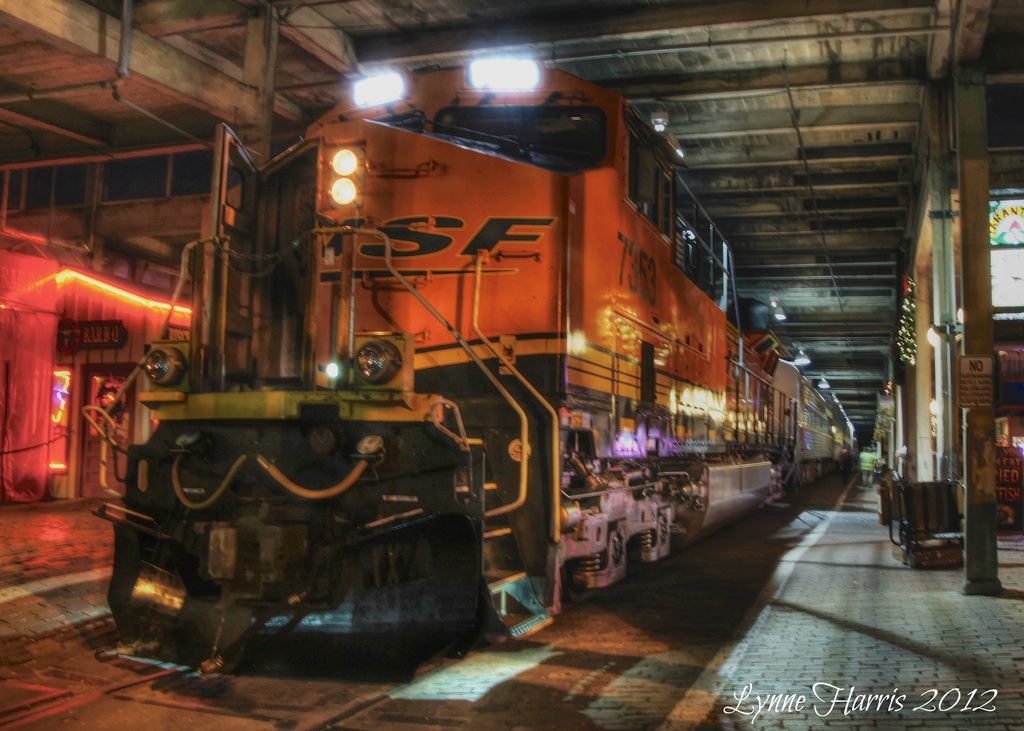 Tarantula Train by lynne5477