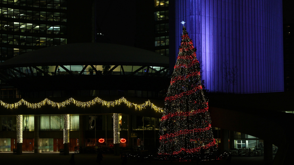 Festivus Tree at City Hall by northy