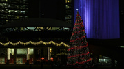29th Nov 2012 - Festivus Tree at City Hall