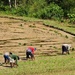 Planting rice by peterdegraaff