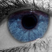 29.11.12 Eyes by stoat