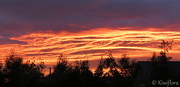 1st Dec 2012 - Sunrise over Rolleston