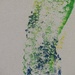 Footprint? by grammyn