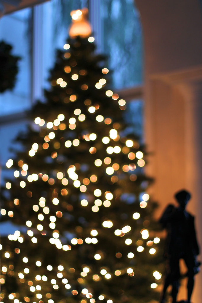 Christmas Tree Bokeh! by whiteswan