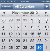30th Nov 2012 - Thankful November