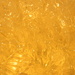 Golden Punch 11.30.12 by sfeldphotos