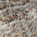 Tree Bark Texture 11.20.12 by sfeldphotos