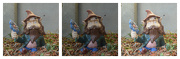 30th Nov 2012 - Gnome Collage