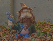 30th Nov 2012 - Gnome