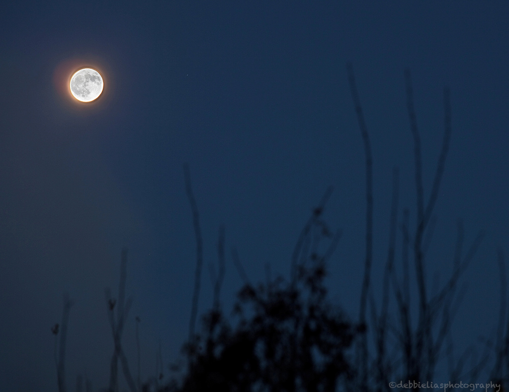 30.11.12 Early morning moon by stoat