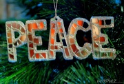 1st Dec 2012 - peace 