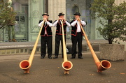 10th Nov 2012 - Swiss horns