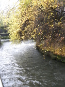 24th Nov 2012 - River Wandle Wandsworth