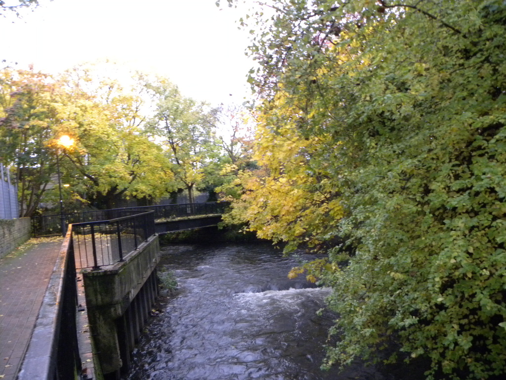 River Wandle, by oldjosh