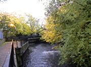 12th Nov 2012 - River Wandle,