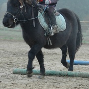 1st Dec 2012 - the little girl and the smiling pony