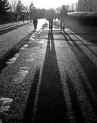 30th Nov 2012 - Going to the match, contre jour style 2 : Possibly the longest contre jour shadows ever !!