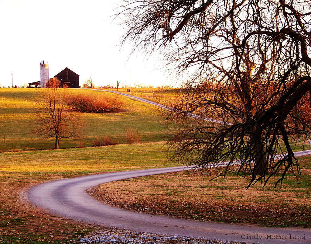 Winding Road to the Barn by cindymc