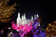 1st Dec 2012 - Temple Lights