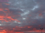 1st Dec 2012 - Stunning morning sky.