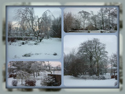 2nd Dec 2012 - chilly collage