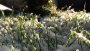 2nd Dec 2012 - 1st Sprinkle Of Snow 