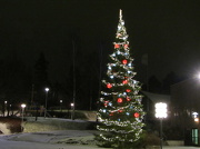29th Nov 2012 - Christmas tree in Kerava