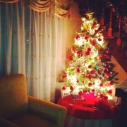 3rd Dec 2012 - December "TREE"
